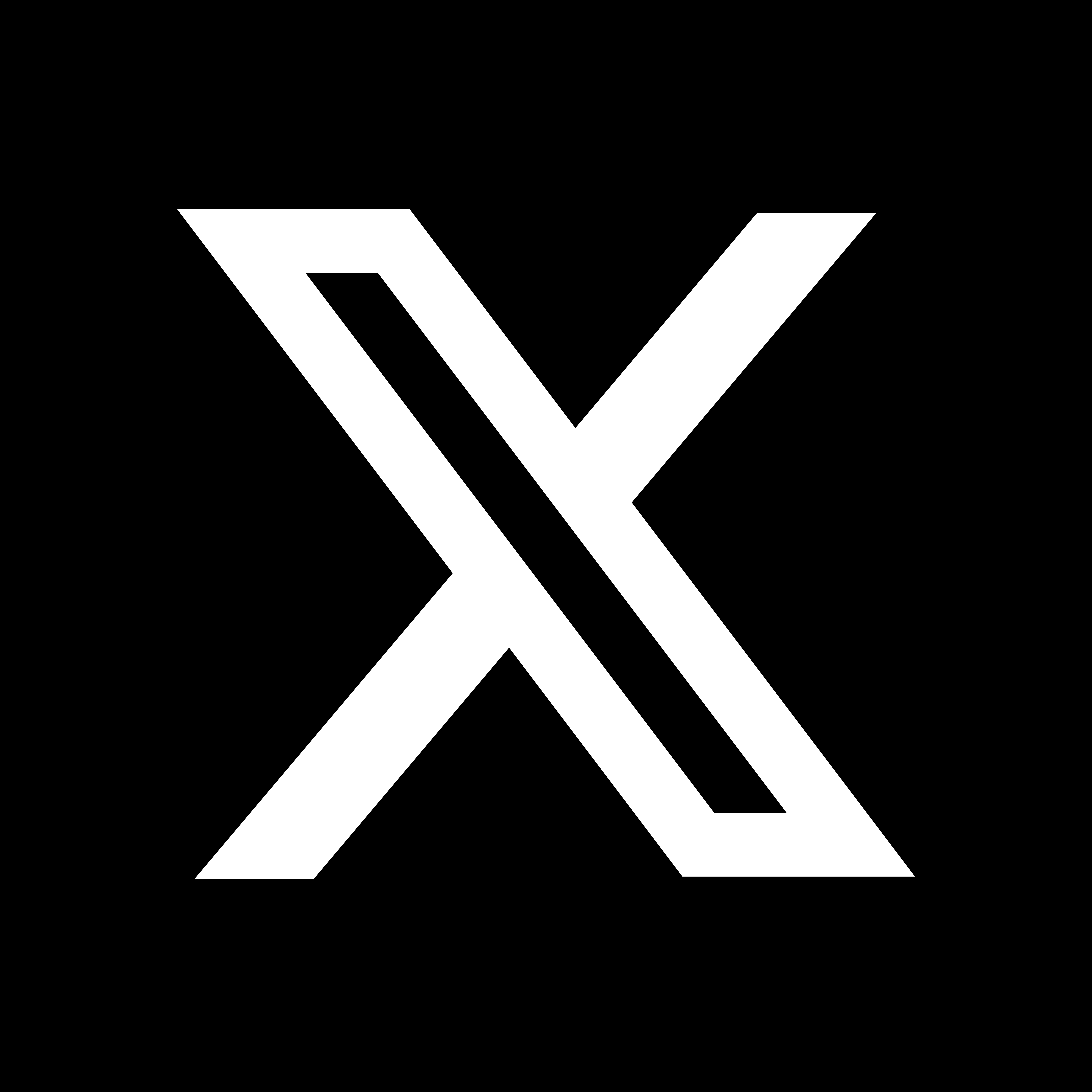 Twitter Icon